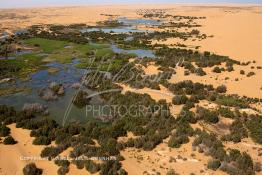 Image du Maroc Professionnelle de  Vue aérienne de la partie stagnante de la Sakia Al Hamra au environ de Laayoune où des oiseaux migrateurs comme les flamants roses trouvent refuge et repos durant leur voyage selon la saison, le 9 Avril 2010. (Photo / Abdeljalil Bounhar)


 